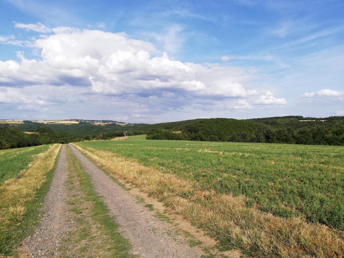 Ferienwohnung Altmaier - Ferien Auf Dem Lande Griebelschied Exterior foto